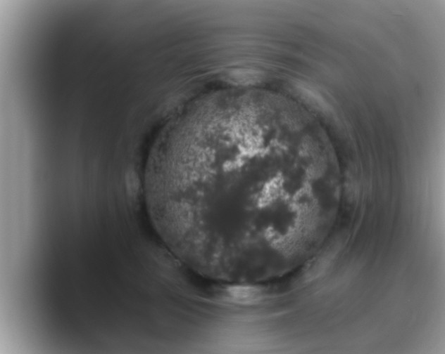 X0000089880371200707051214