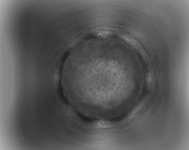 X0000089880372200707051214