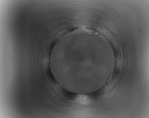 X0000089880376200707051214