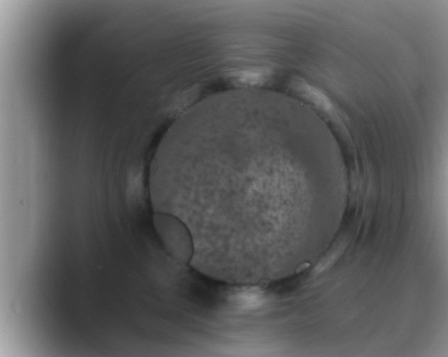 X0000089880377200707051214