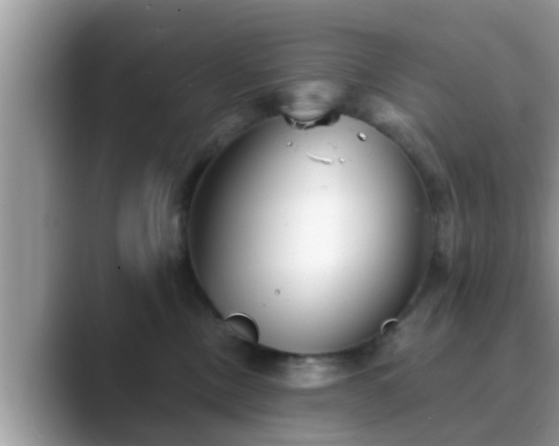 X0000089880378200707051214