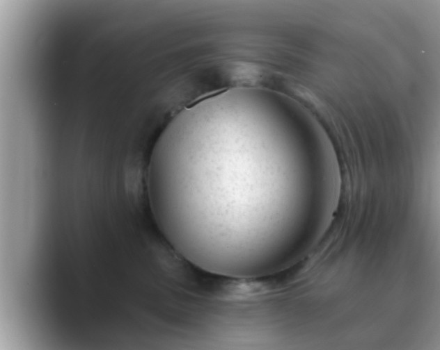 X0000089880379200707051214