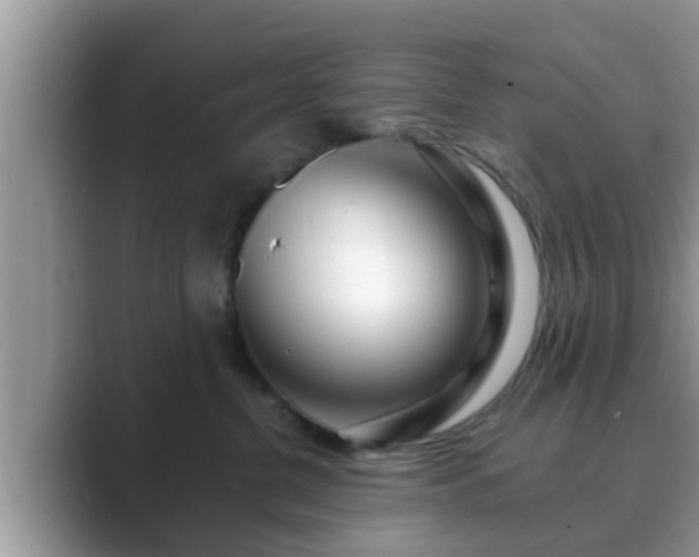 X0000089880380200707051214