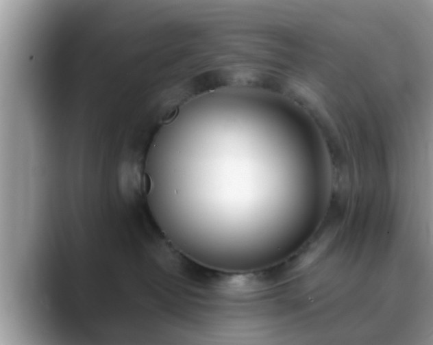 X0000089880382200707051215