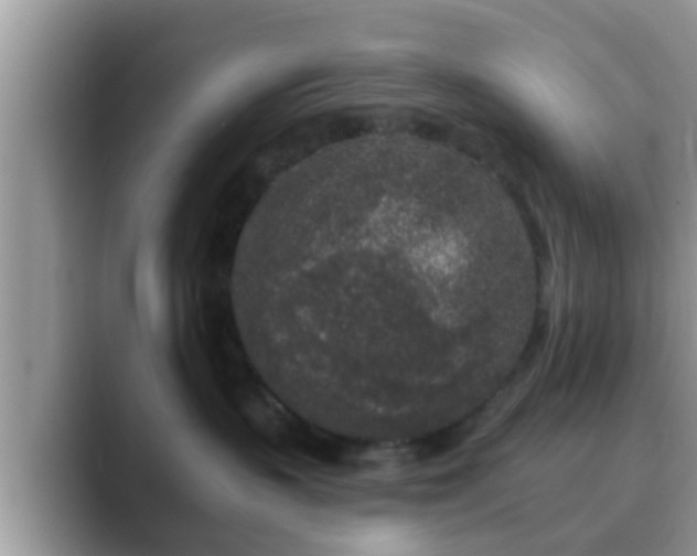 X0000089880383200707051215