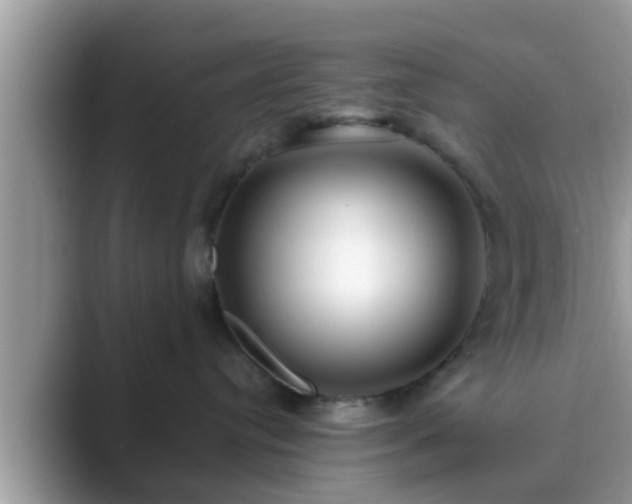 X0000089880384200707051215