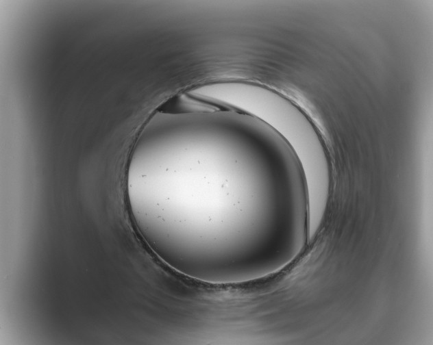 X0000089880385200707051214