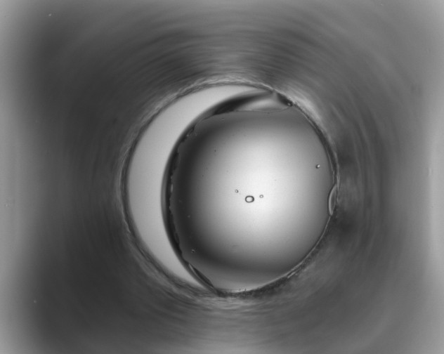 X0000089880389200707051214