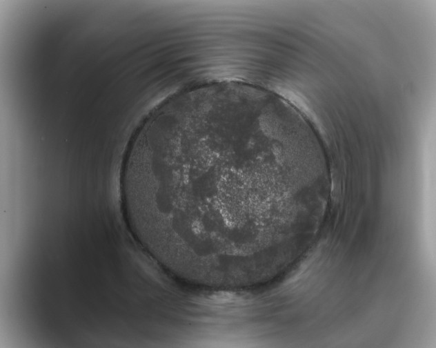 X0000089880390200707051214