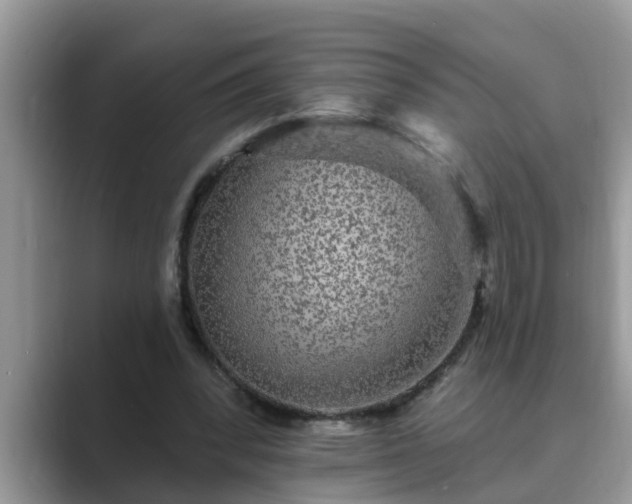 X0000089880392200707051214