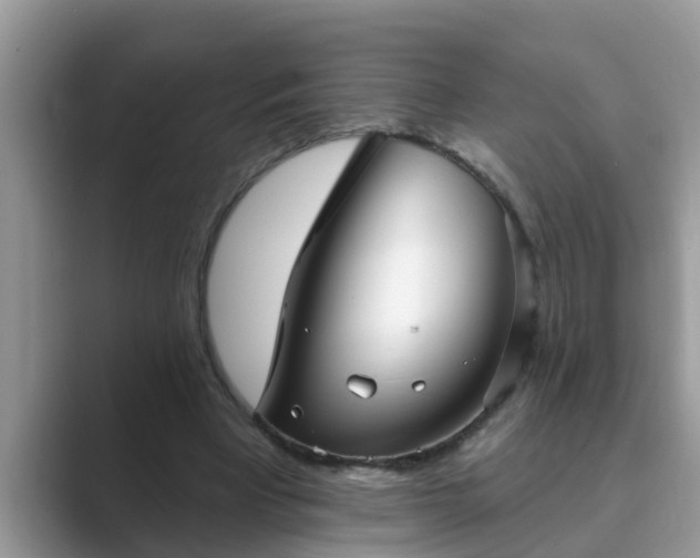 X0000089880393200707051214