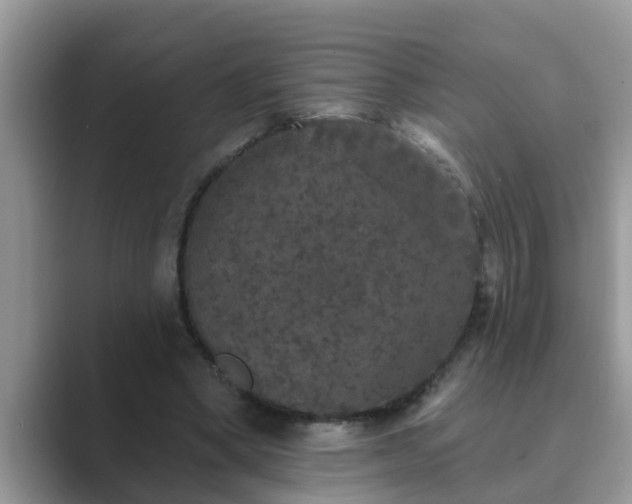 X0000089880394200707051214