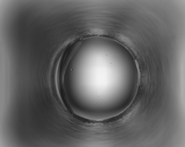 X0000089880395200707051214