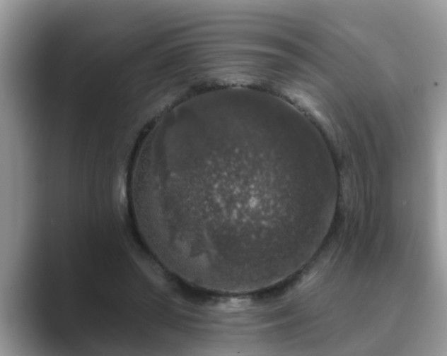 X0000089880398200707051214