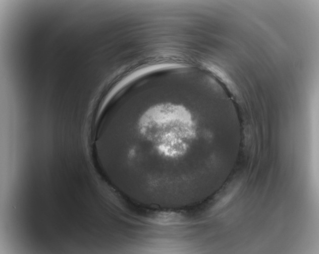 X0000089880399200707051214