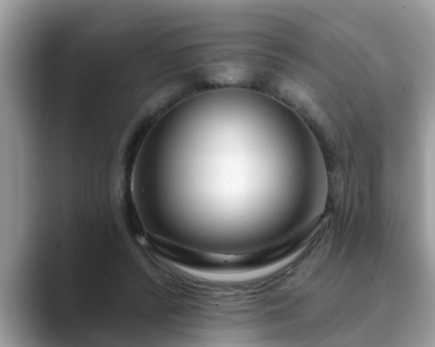 X0000089880400200707051214