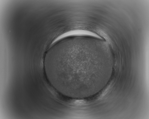 X0000089880401200707051214