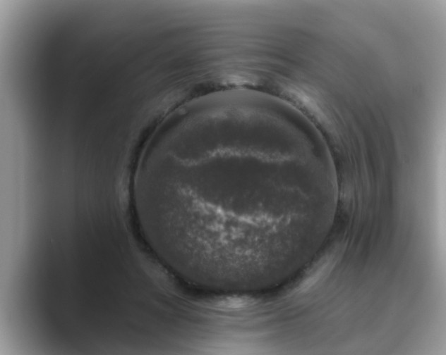 X0000089880402200707051214