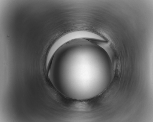 X0000089880403200707051214