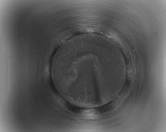 X0000089880410200707051214