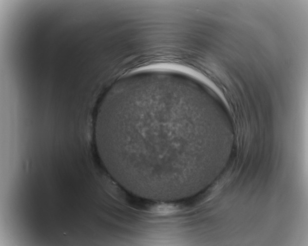 X0000089880413200707051214