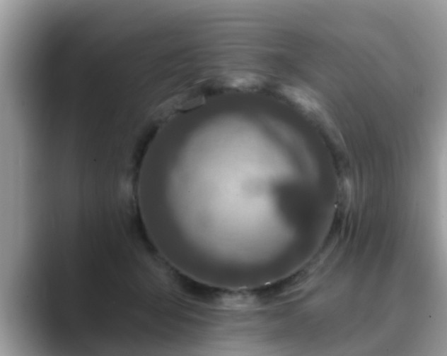 X0000089880415200707051214