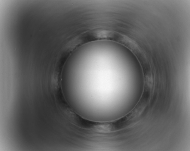 X0000089880422200707051214