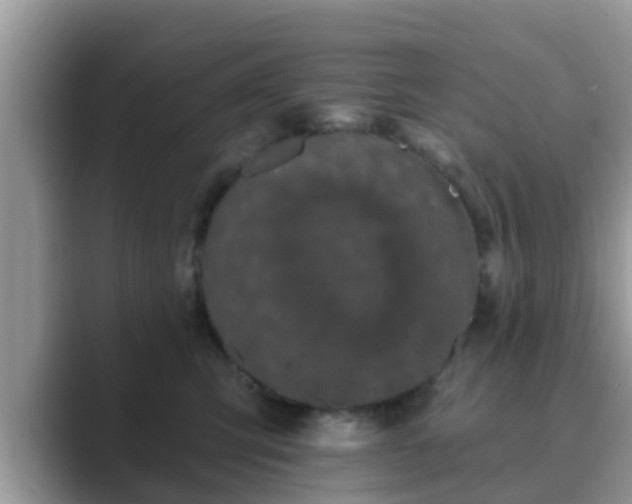 X0000089880423200707051214