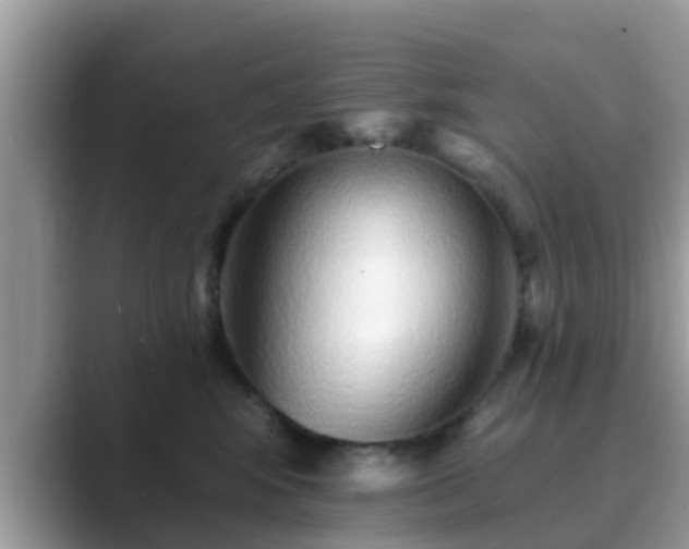 X0000089880424200707051214