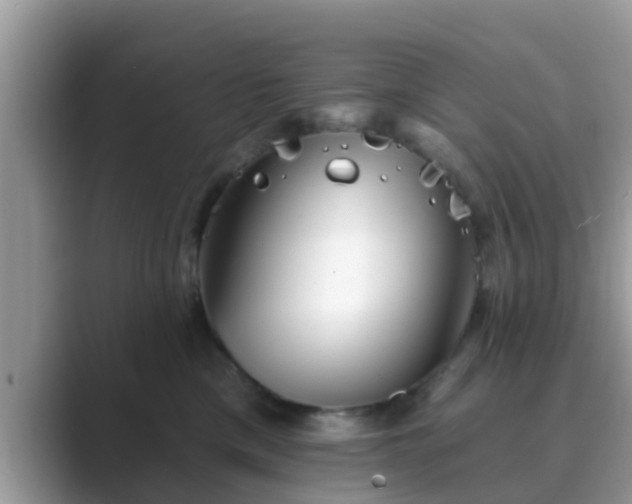 X0000089880425200707051213