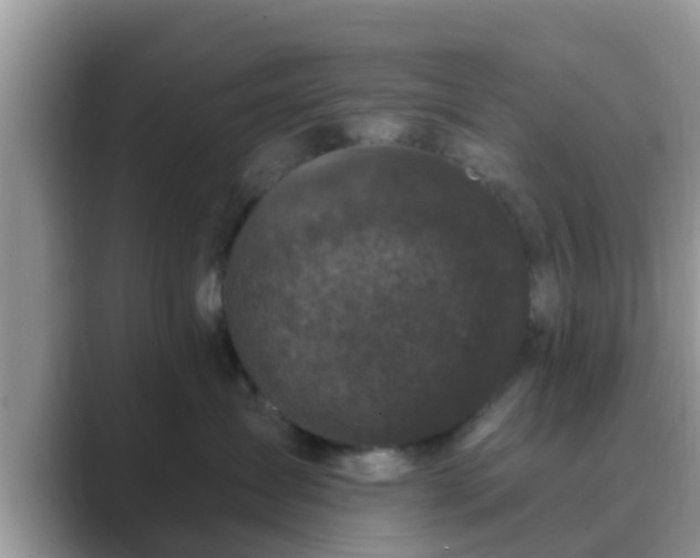 X0000089880431200707051213