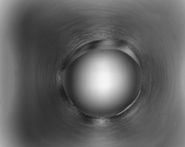 X0000089880432200707051213