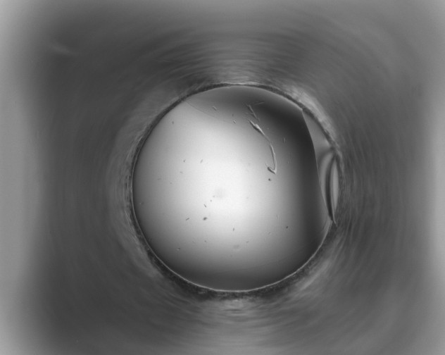 X0000089880433200707051213