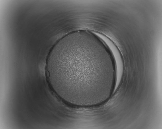 X0000089880434200707051213