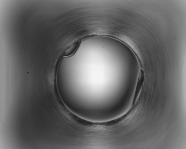 X0000089880437200707051213