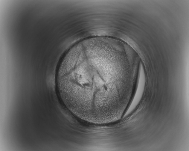 X0000089880438200707051213