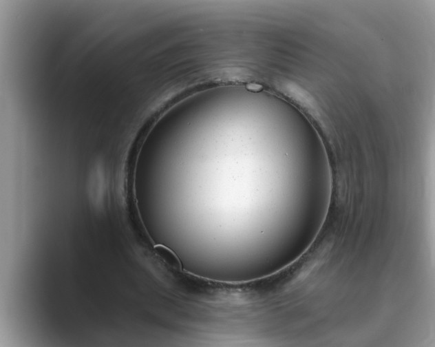 X0000089880439200707051213