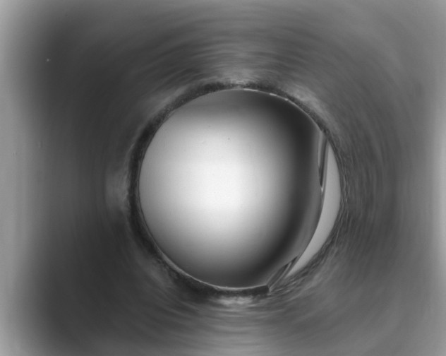 X0000089880440200707051213