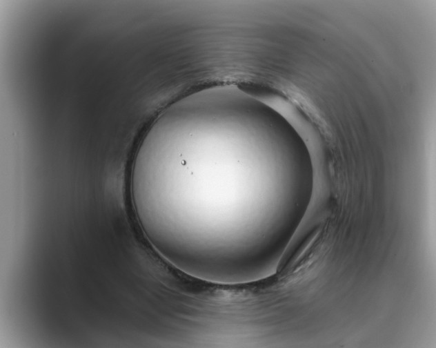 X0000089880442200707051213