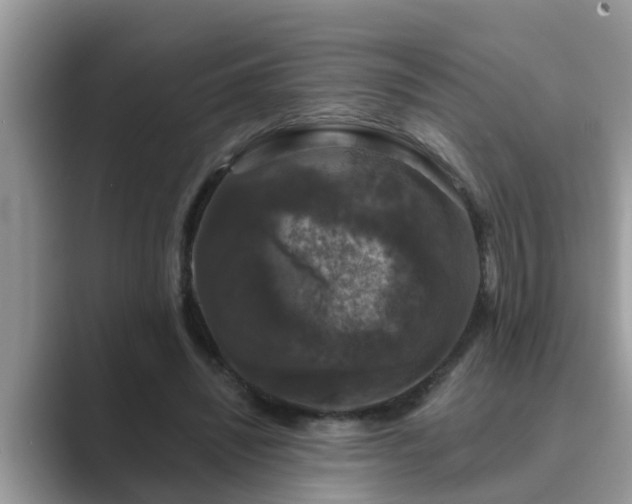 X0000089880444200707051213