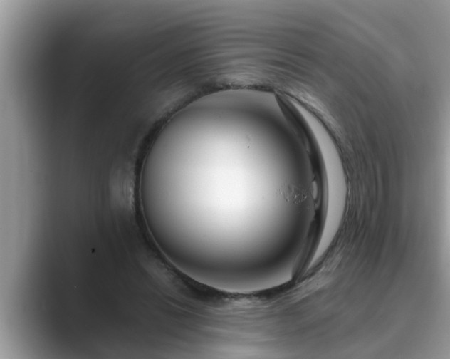 X0000089880446200707051213