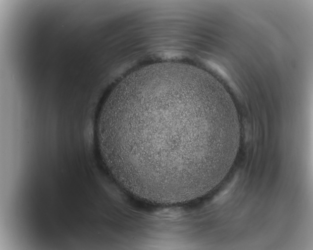 X0000089880447200707051213