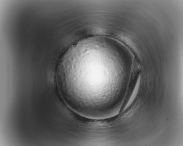 X0000089880449200707051213