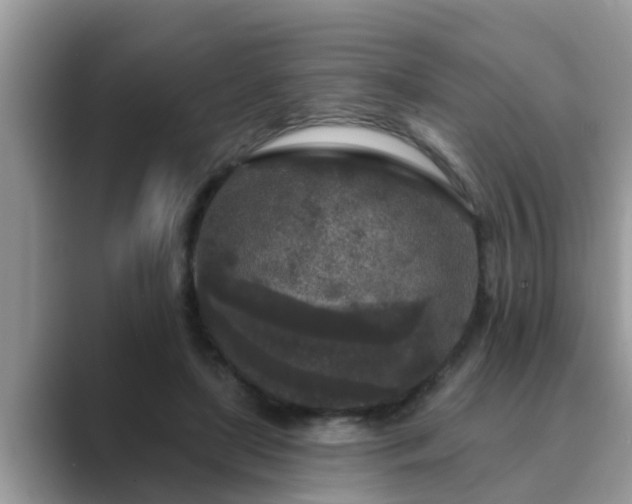 X0000089880451200707051213