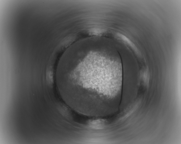 X0000089880452200707051213