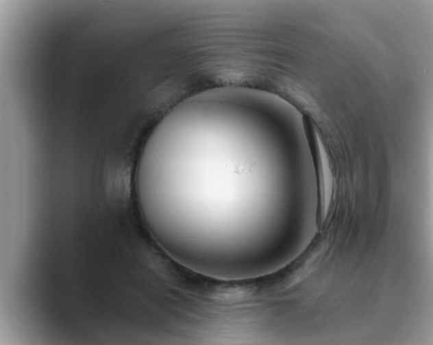 X0000089880454200707051213