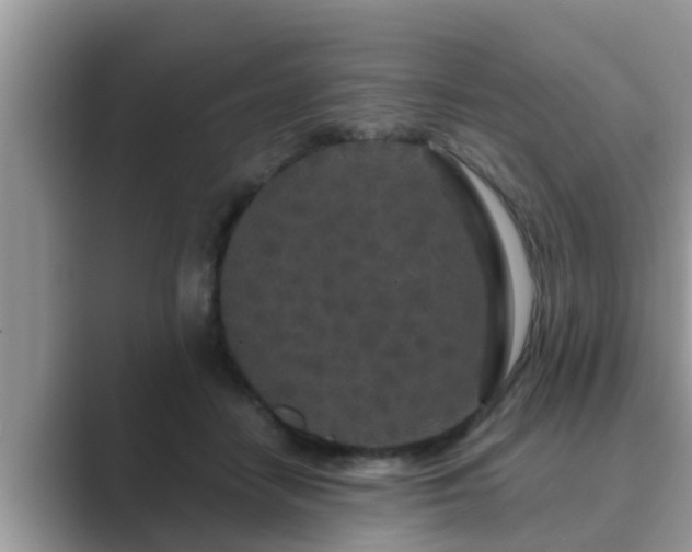 X0000089880458200707051213