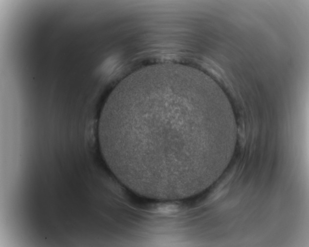 X0000089880462200707051213