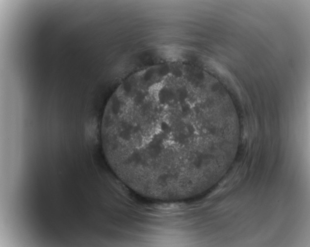 X0000089880465200707051213