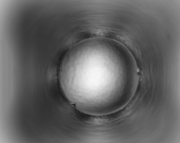 X0000089880466200707051213